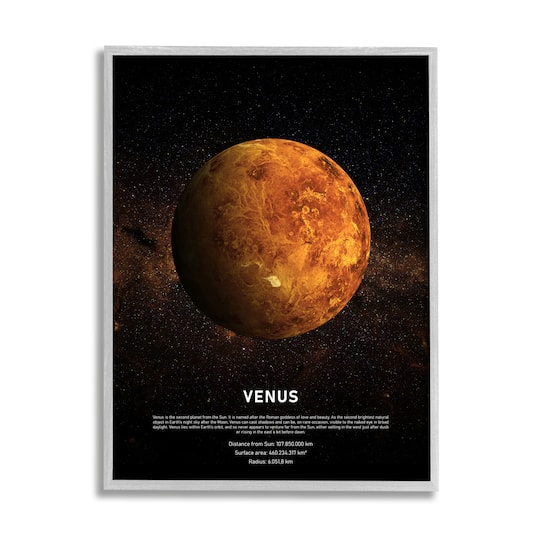 Stupell Industries Venus Planet Infographic Milky Way Astrological Facts in Frame Wall Art